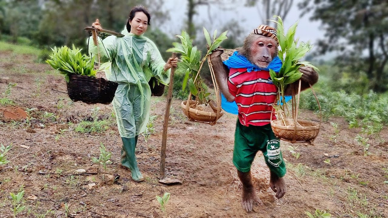 Abu enlisted to help when he saw his mother hard work