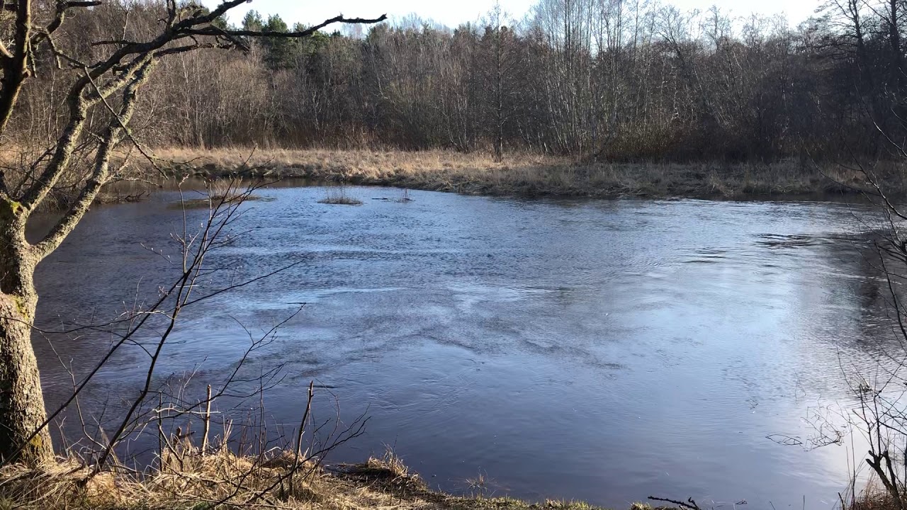 Meditation video (River flow) - Meditatsioon J&otilde;gi