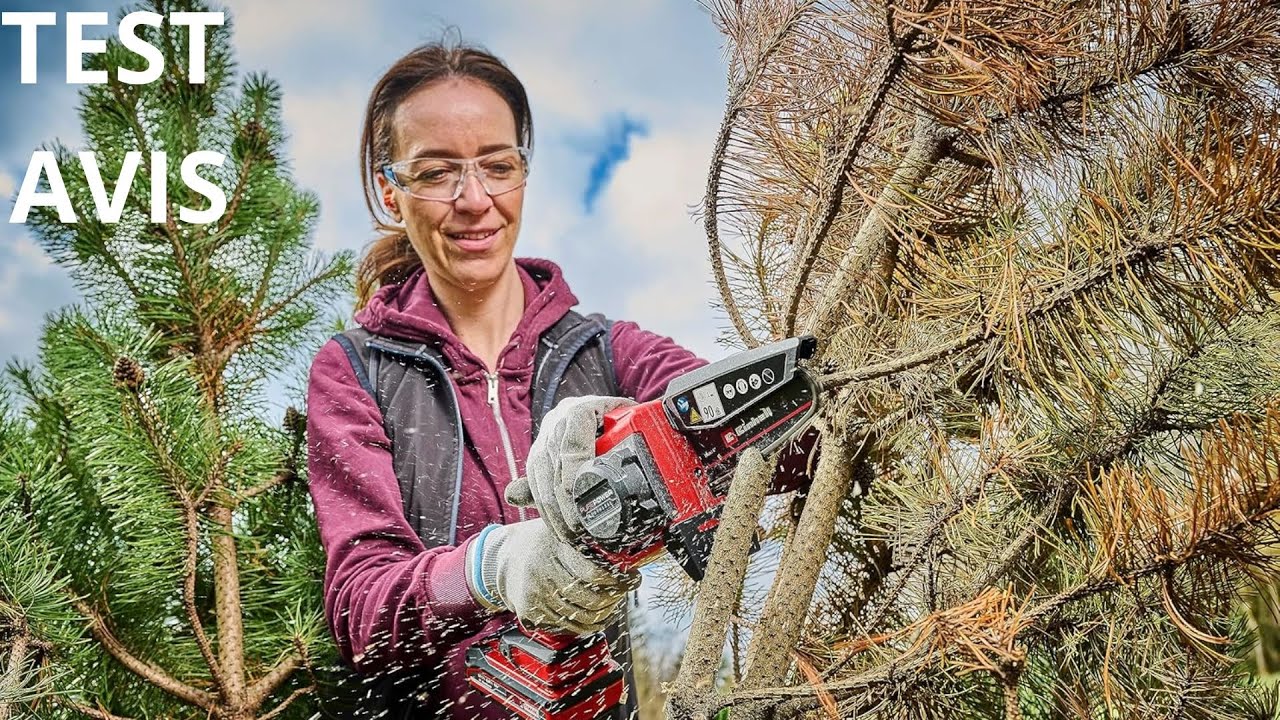 🥇Einhell Élagueuse sans fil GE-PS 18/15 Li BL- Test & Avis (2025)