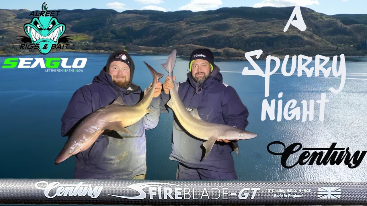 Spurdog fishing up in Scotland