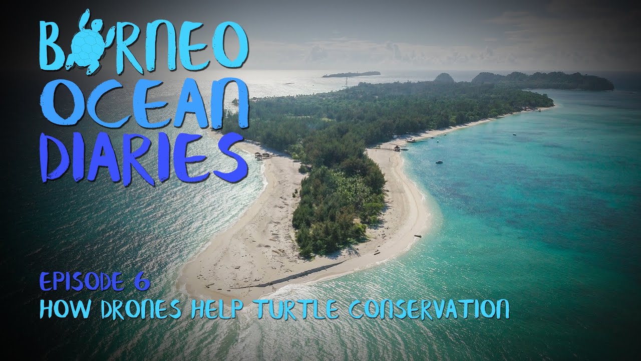 Big Brother is watching - How drones help turtle conservation  | Borneo Ocean Diaries (S01E06)|SZtv