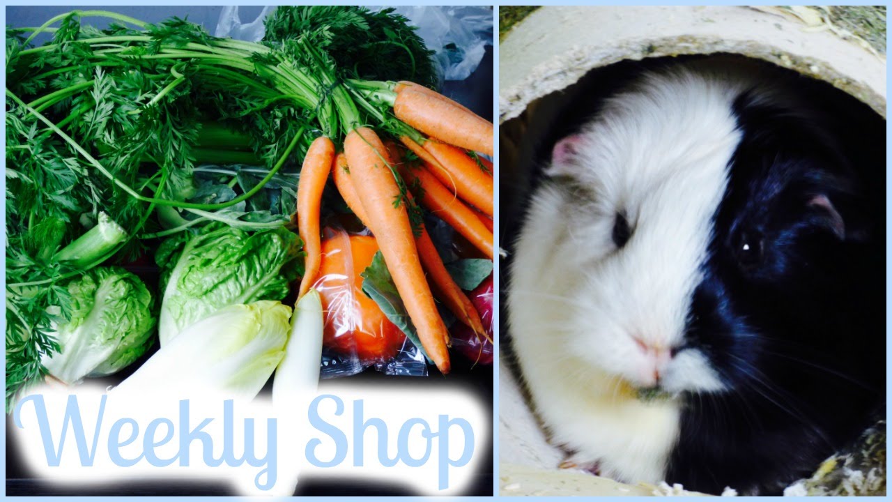 Guinea Pig Weekly Vegetable Shop