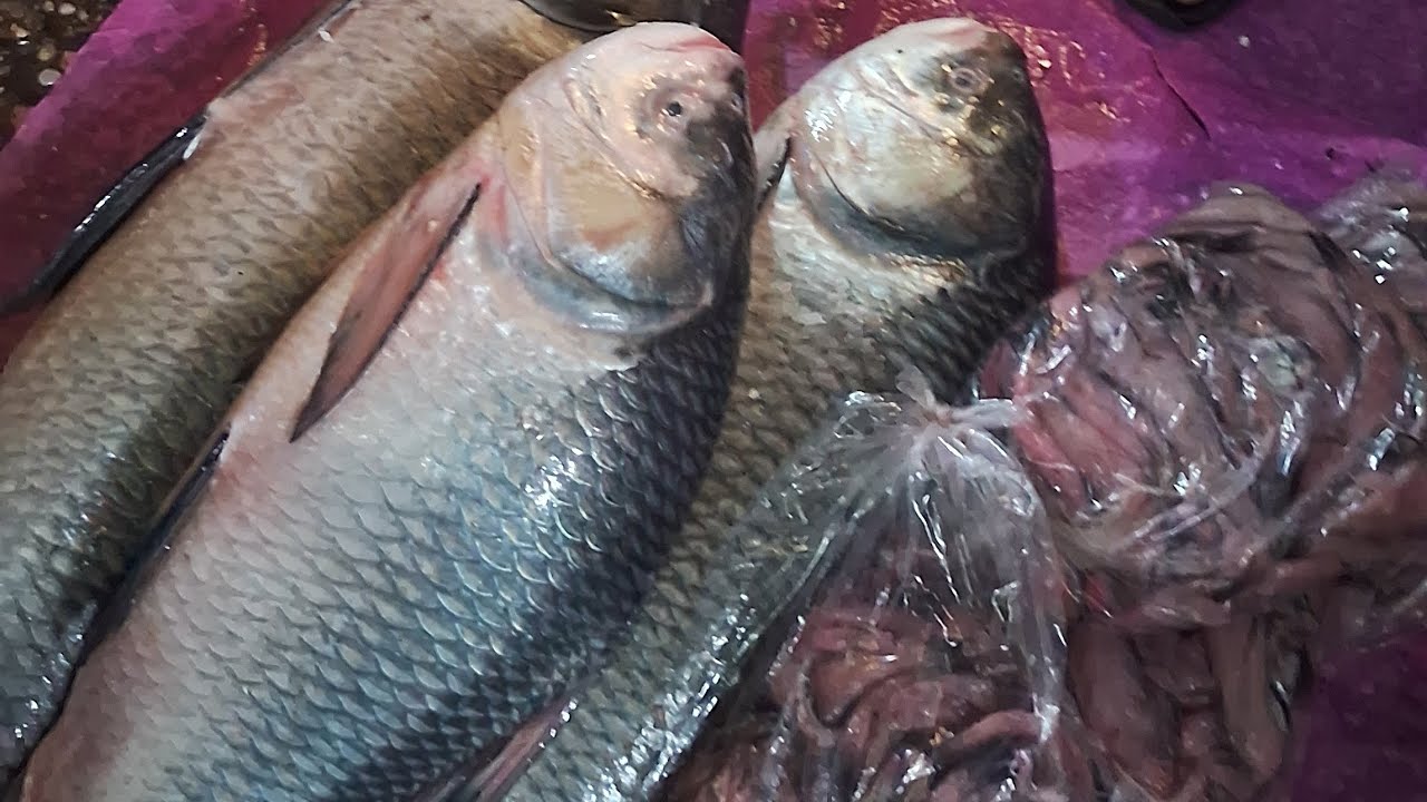 কত বড় রুই মাছ 😀 manabmou youtube video #villagevlog @S_Baniks_Art @UjjalBro 