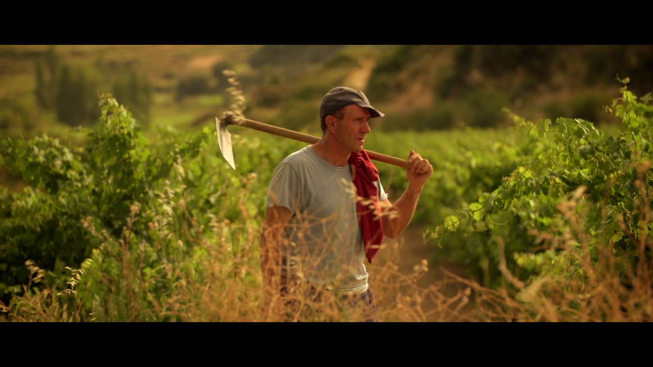 Viñedos Y Bodegas Sierra Cantabria Presents Señorío De San Vicente