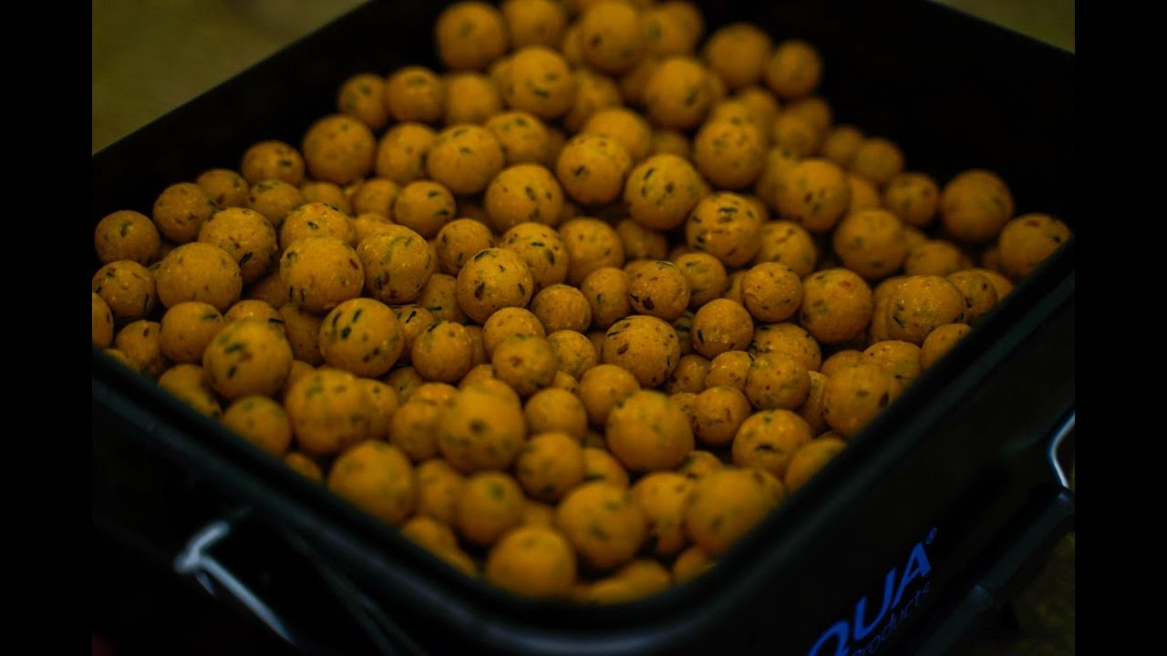 BFP Baits - Produktionsvideo