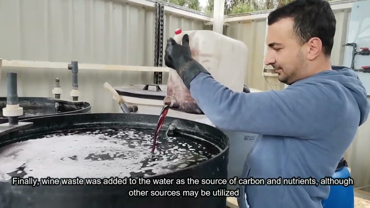 Solvent Extraction and Bioremediation for Copper Recovery from Extreme Acid Mine Drainage