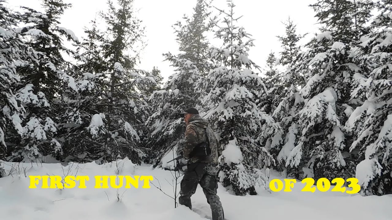 First Hunt of 2023 | Snowshoe Hare