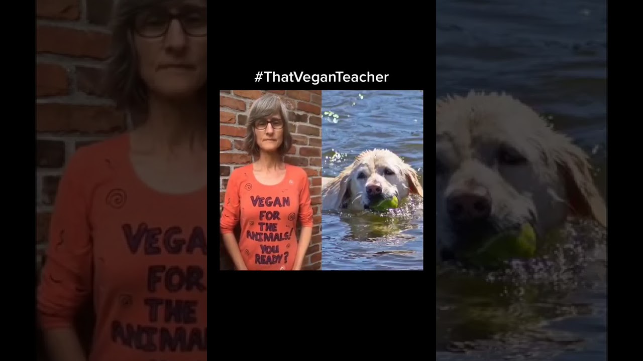 Tiktok Today - Thu Jun 25 2020