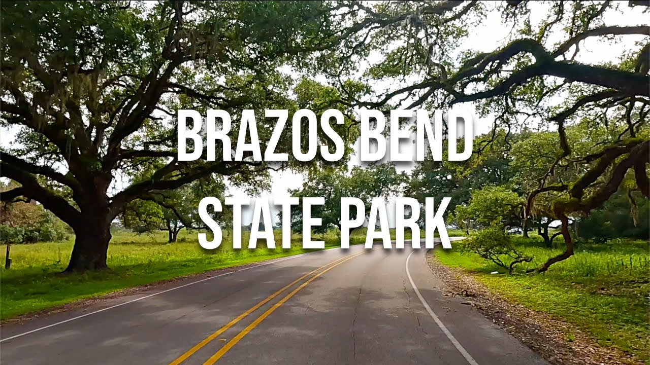 Brazos Bend State Park! Drive with me in a Texas park!