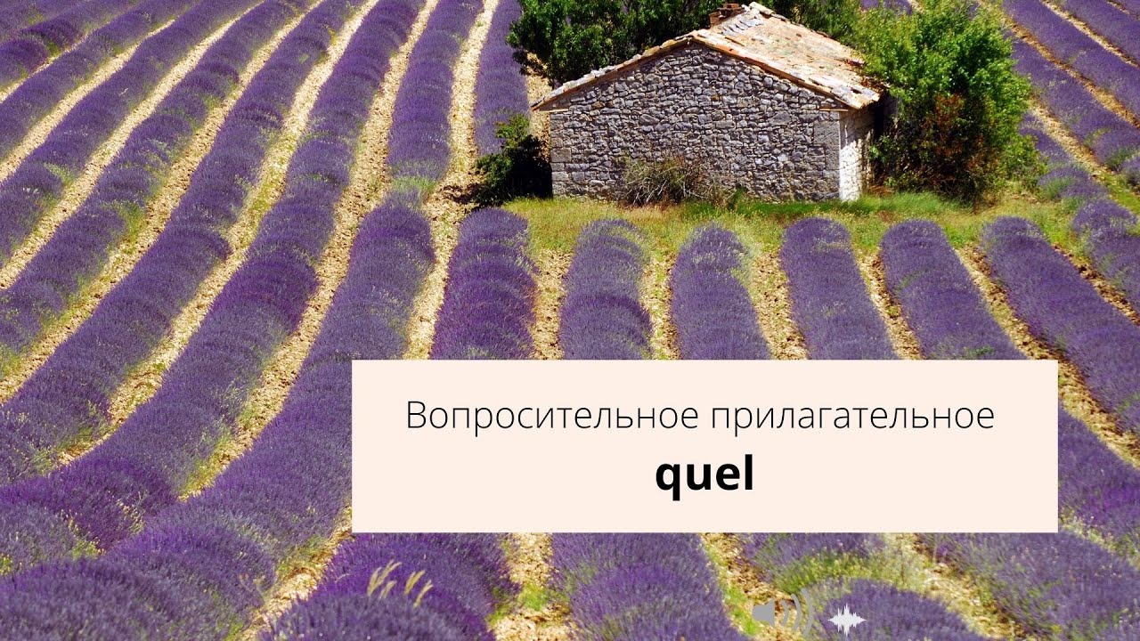 Quel, quelle, quels,quelles
