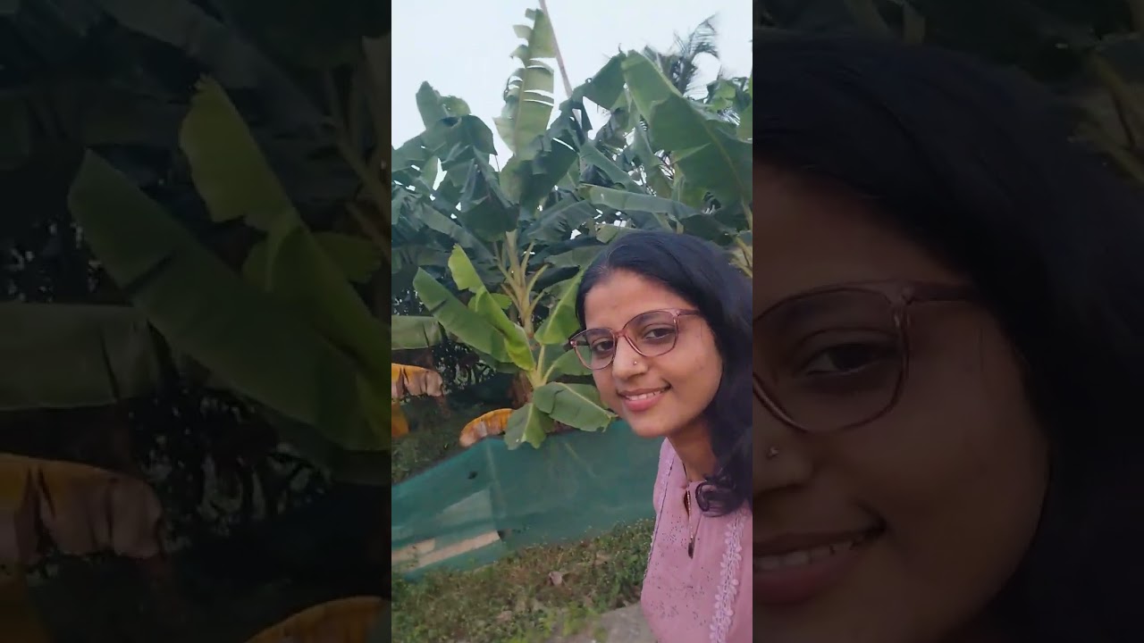 Ponniam    വയൽ 👍👍❤️❤️ ponniam  vlog #👍👍❤️❤️🥰😍
