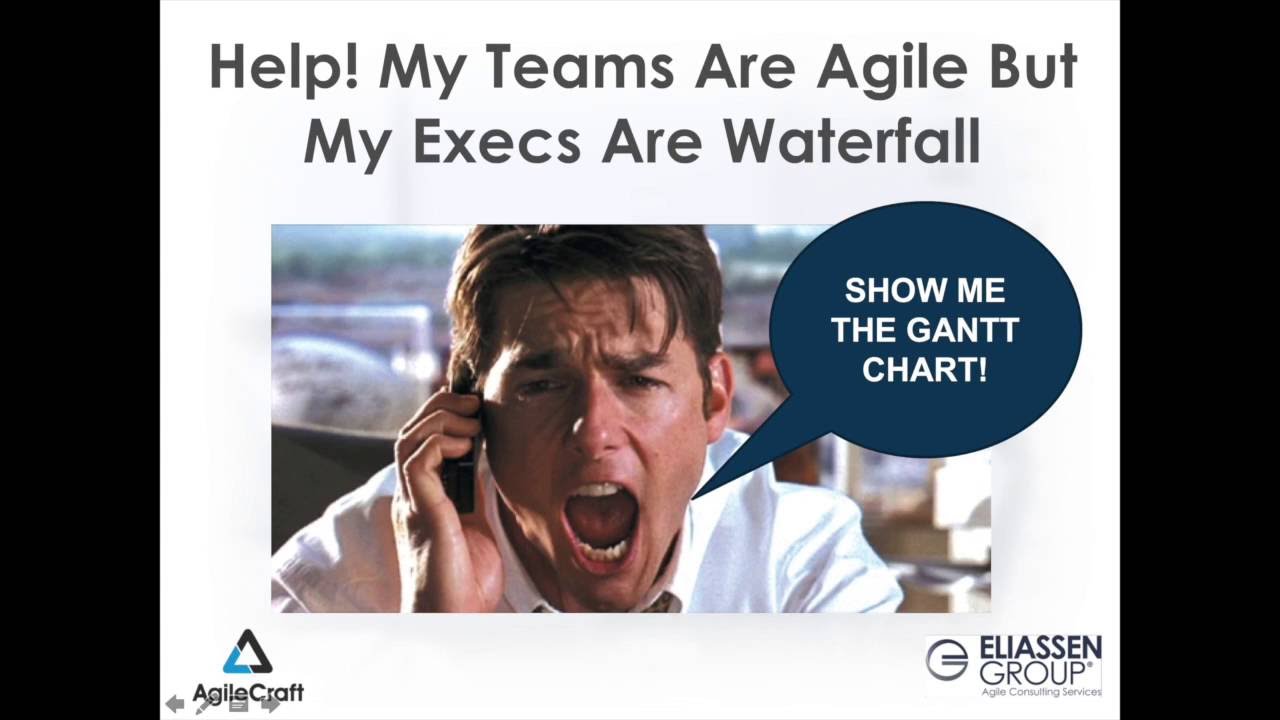 Help! My Teams Agile but My Execs Are Waterfall!
