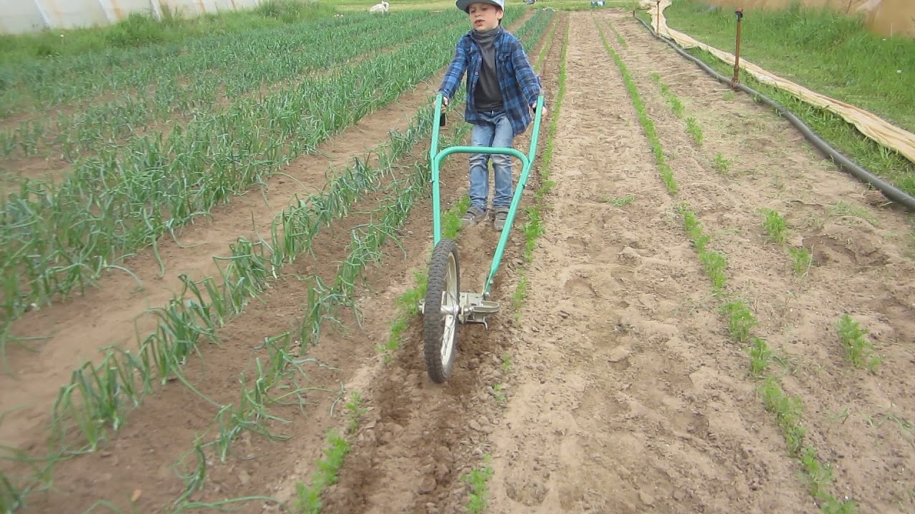D&eacute;sherbage Sarclage Houe mara&icirc;ch&egrave;re Cultivateur