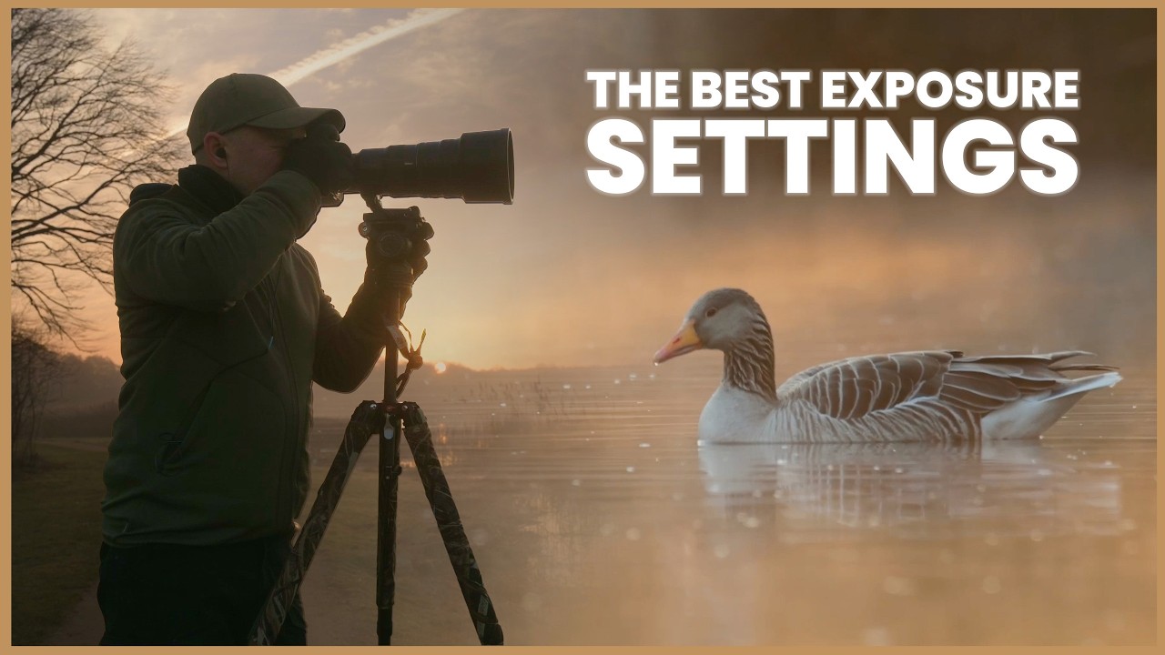 Never Lose Another Bird Shot to Bad Exposure | Peter Dam