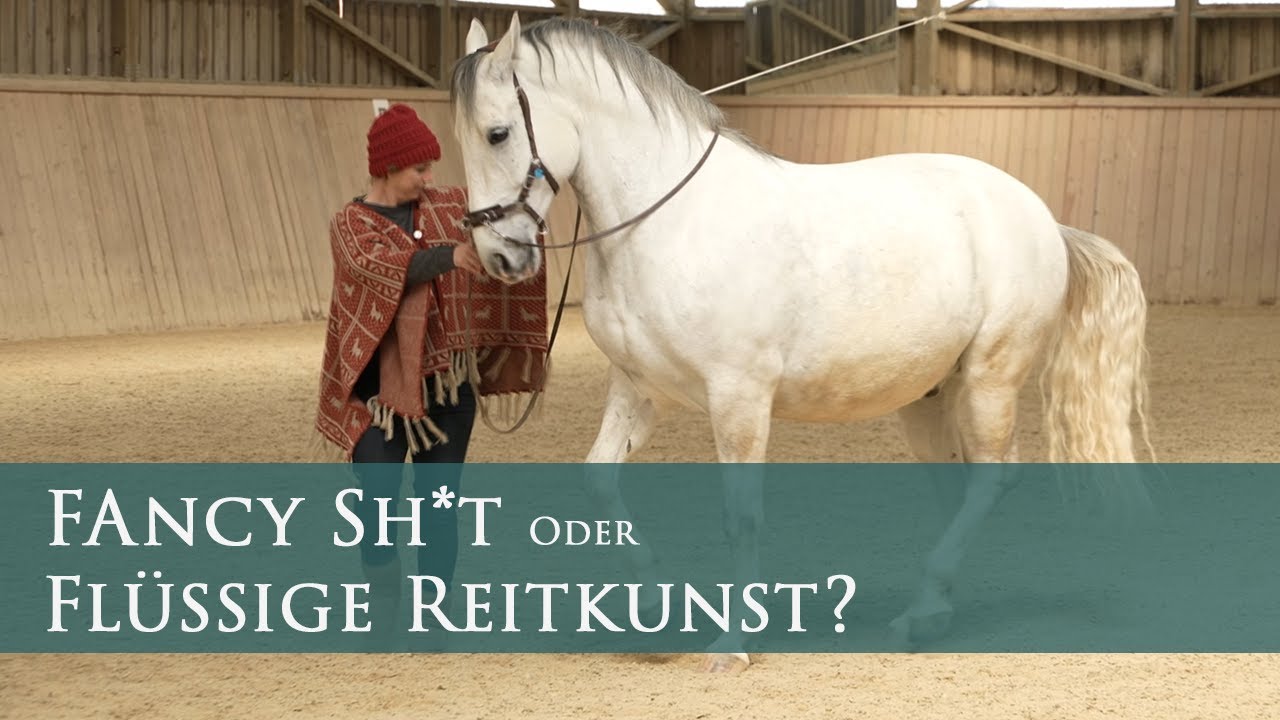 Akademische Reitkunst - nur Fancy Sh*t?
