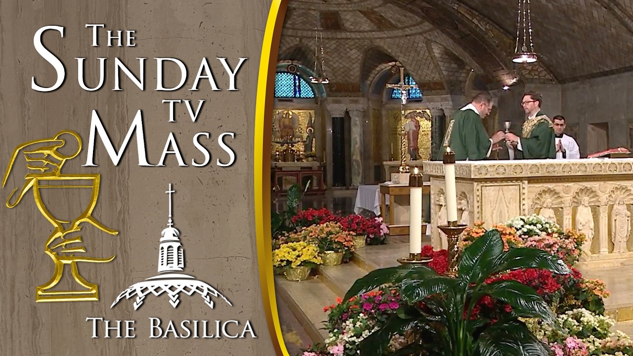 The Sunday Mass - 15th Sunday in Ordinary Time - July 12 2026