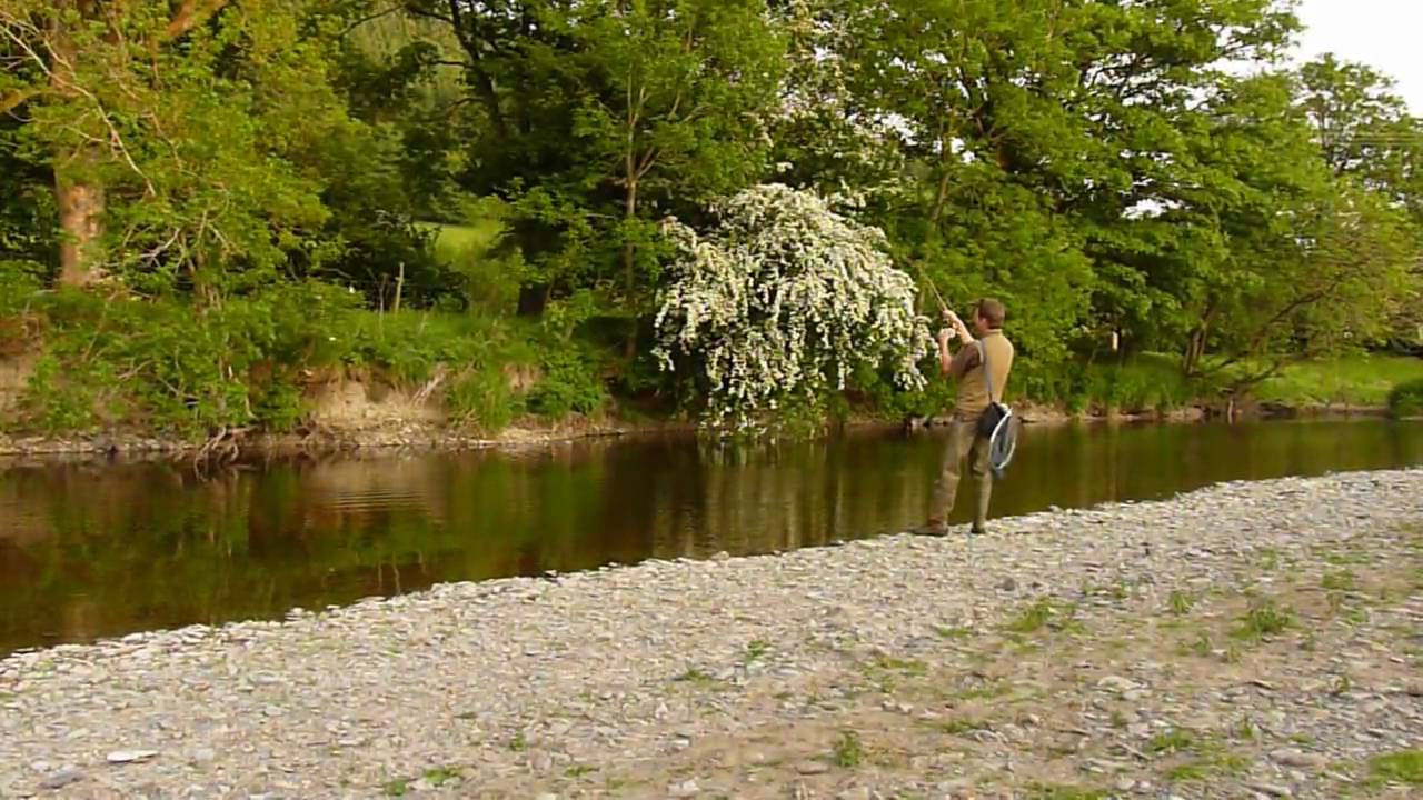 Fly fishing with cane rods in Mid Wales