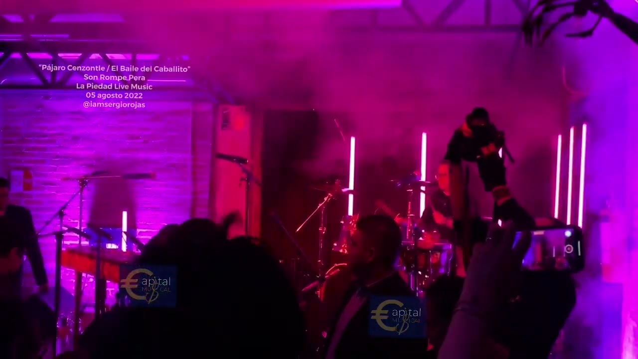 Pájaro Cenzontle / El Baile del Caballito - Son Rompe Pera (en vivo)