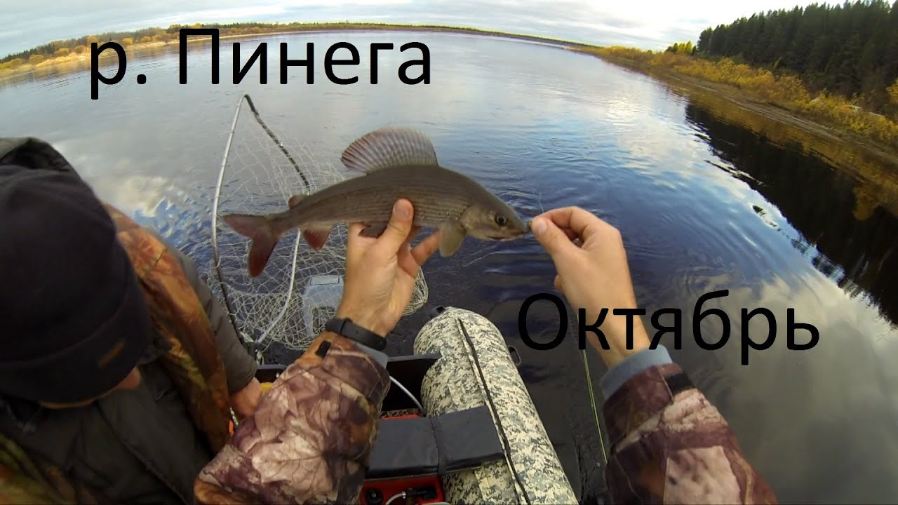 Рыбалка на самой доступной реке. Закрытие сезона.