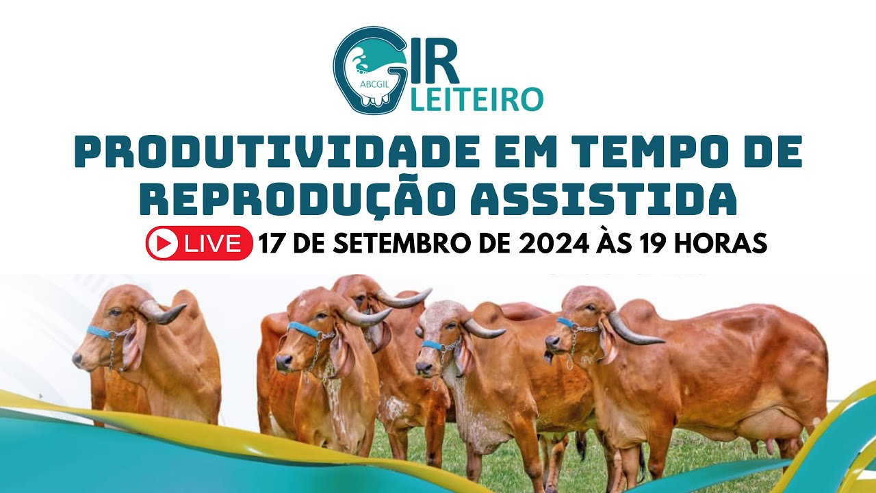 PRODUTIVIDADE EM TEMPO DE REPRODUÇÃO ASSISTIDA - Melhorando a preparação de doadoras e receptoras