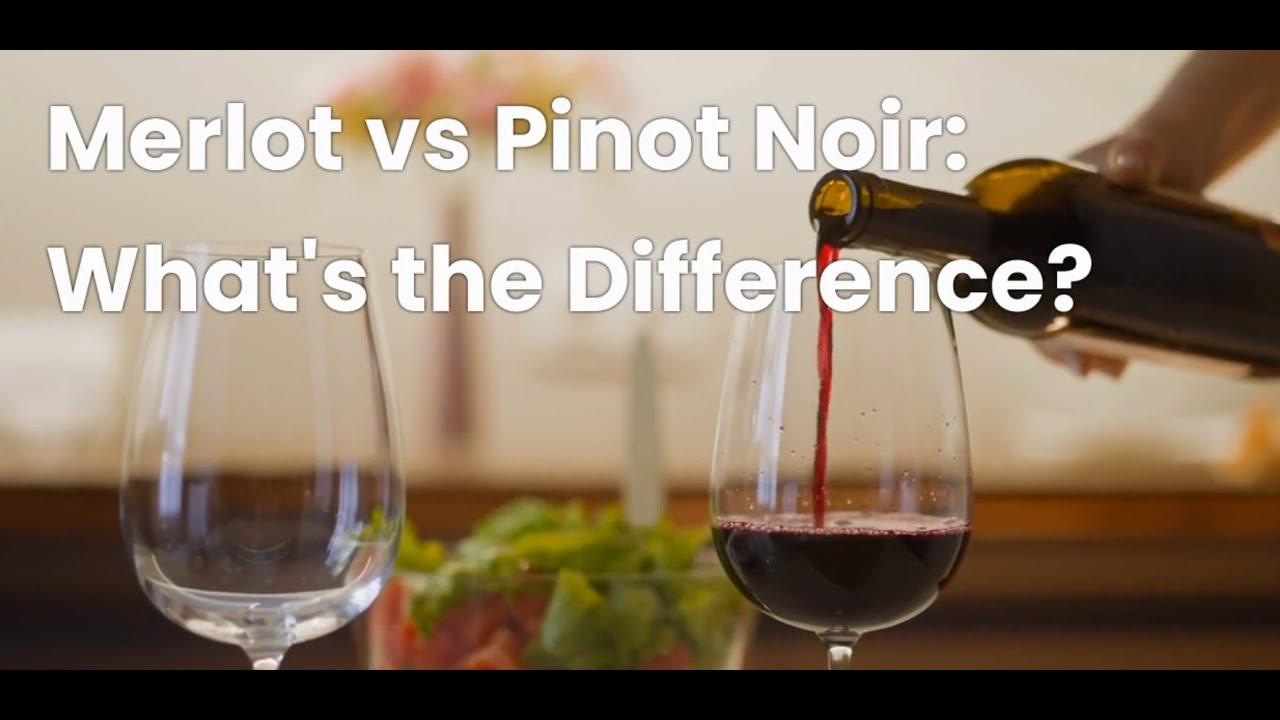 Wine Showdown: Merlot vs. Pinot Noir 🍇
