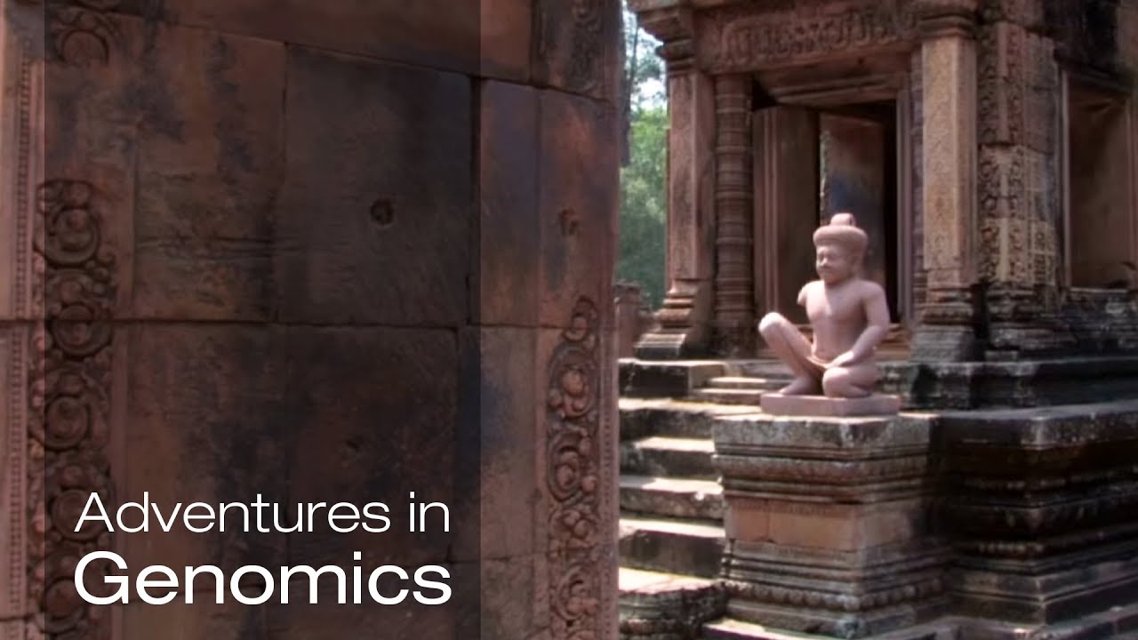 Archaeology of the Invisible - Adventures in Genomics