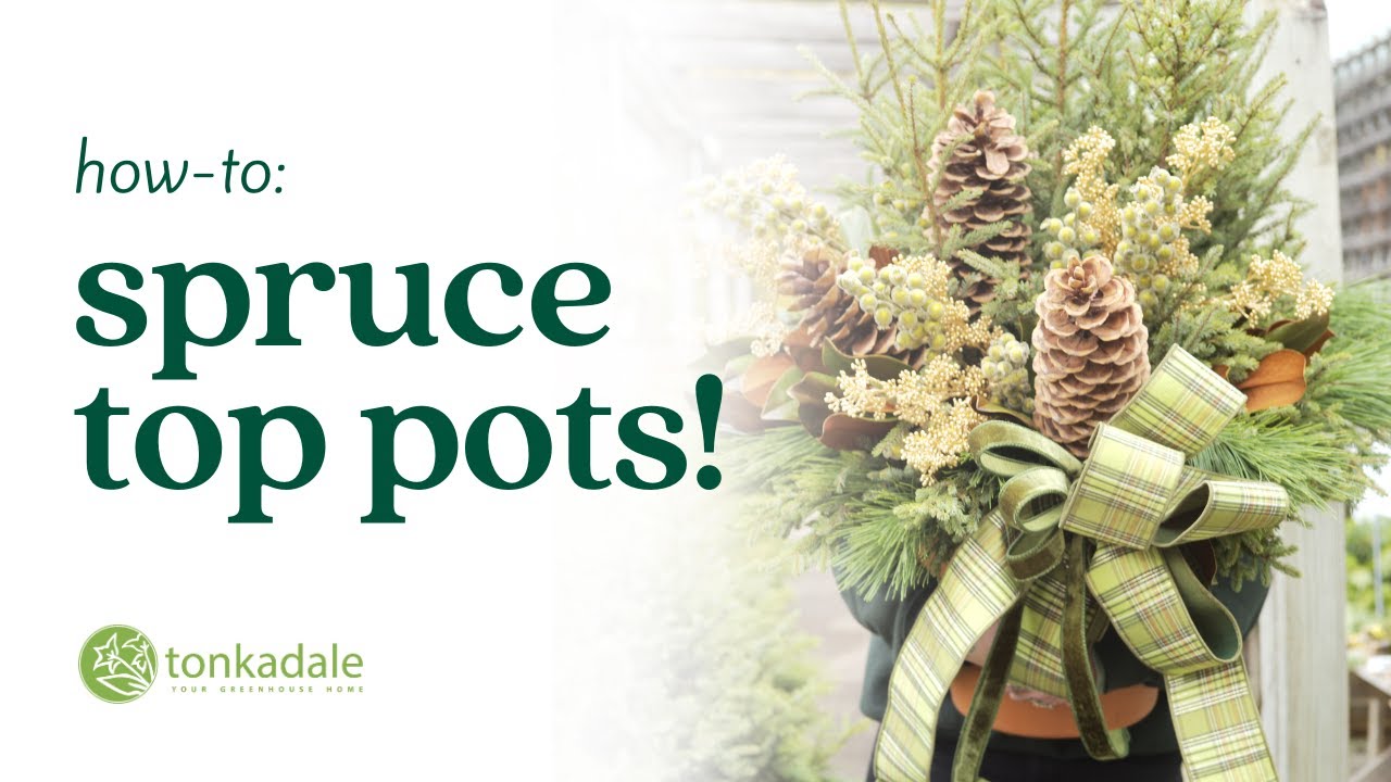 How-to: Spruce Top Pots!