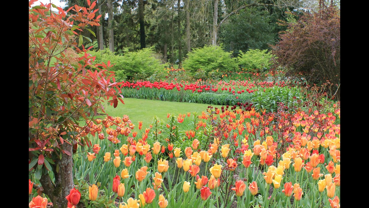 Idee per progettare giardini con i tulipani: Pashley Manor, Inghilterra. 24/04/19. Parte 1.