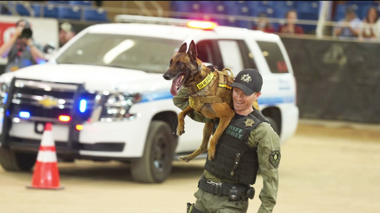 Desert Dog Police K9 Trials
