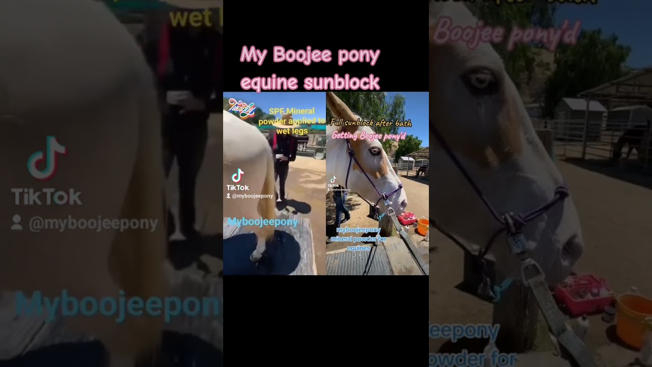 My Boojee Pony Mineral powder sunblock is safe for sensitive areas