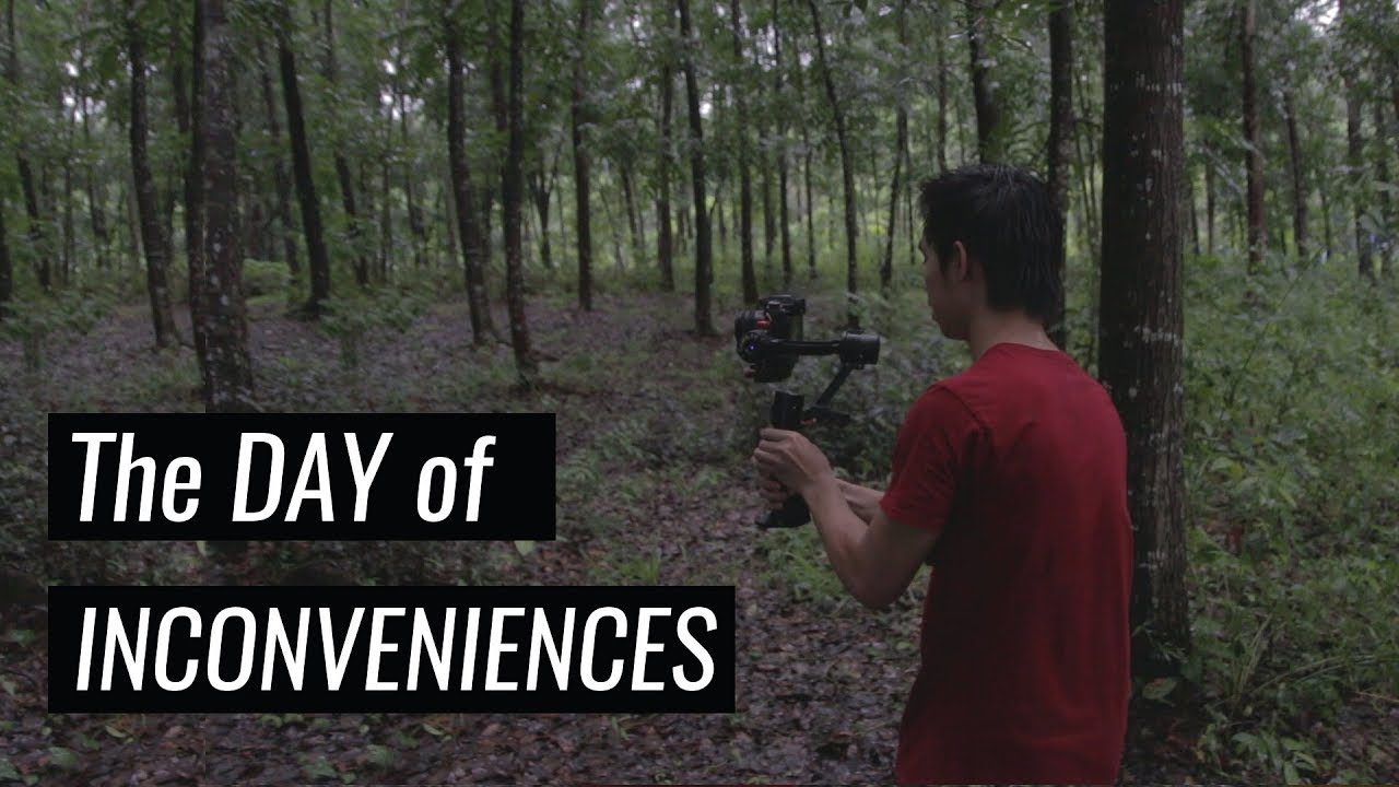 The DAY of INCONVENIENCES