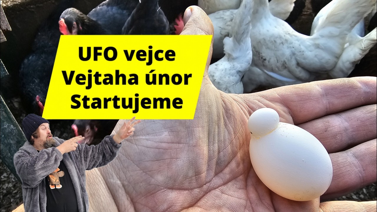 Vejtaha  únor ( 1 )❄️ Co letos plánuju na zahradě, skleníku  Startujeme! 🛠️🌱