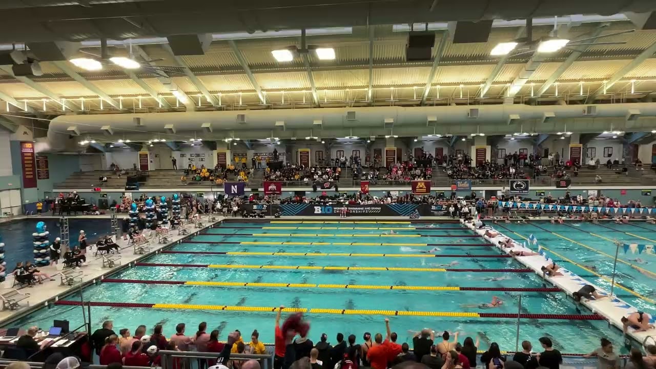 Prelims 500 free - Dworak