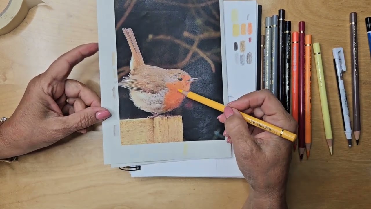 COME DISEGNARE UN UCCELLO CON LE MATITE COLORATE - TUTORIAL SEMPLICE PER PRINCIPIANTI