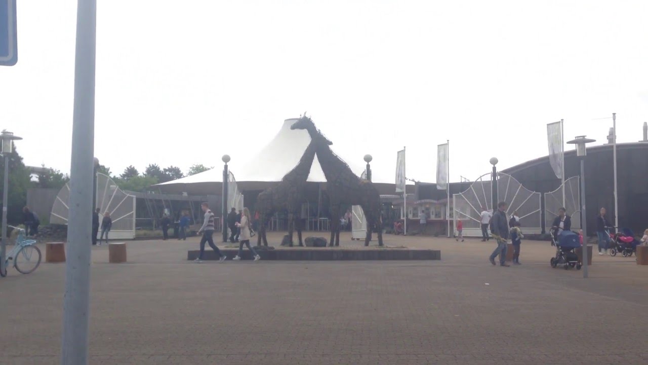 Diergaarde Blijdorp Rotterdam Zoo
