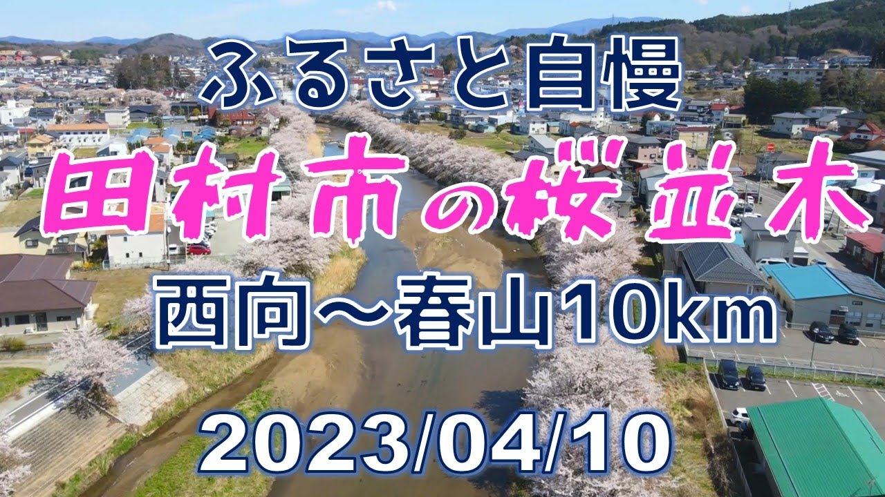 ふるさと自慢～田村市の桜並木