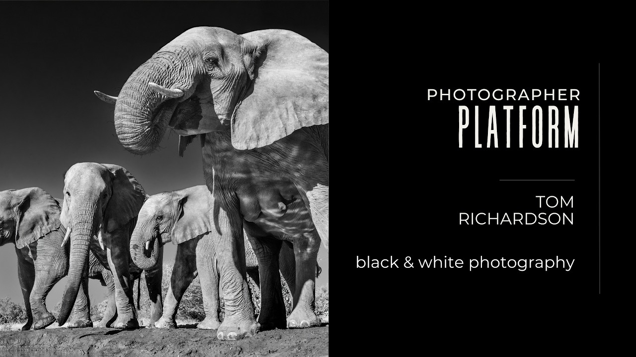 Black and White Photography | 