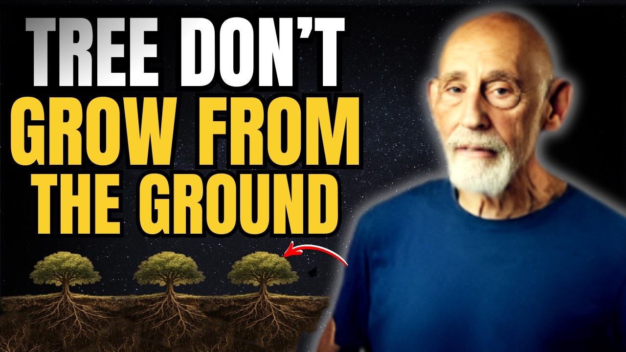 Trees Don’t Grow From the Ground — The Hidden Truth Revealed 🌳