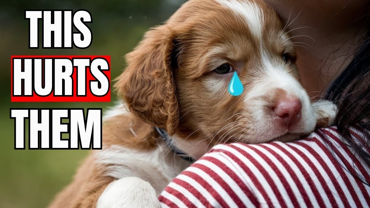 10 EVERYDAY Things That HURT Your Dog’s FEELINGS