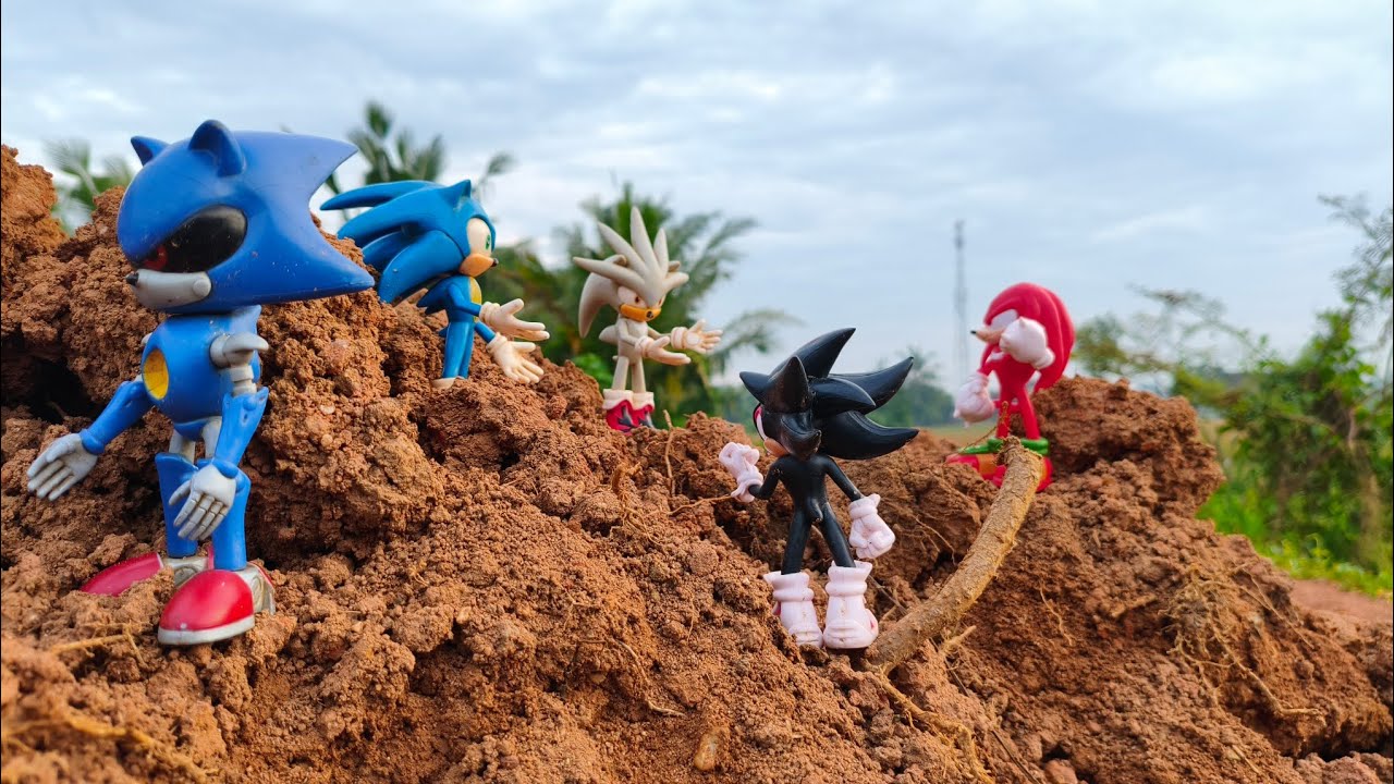 Hunting Sonic The Hedgehog:Sonic/Knuckles/Silver/Shadow/Metal Sonic/Tails/Amy Rose/Egg Man/Robotnic