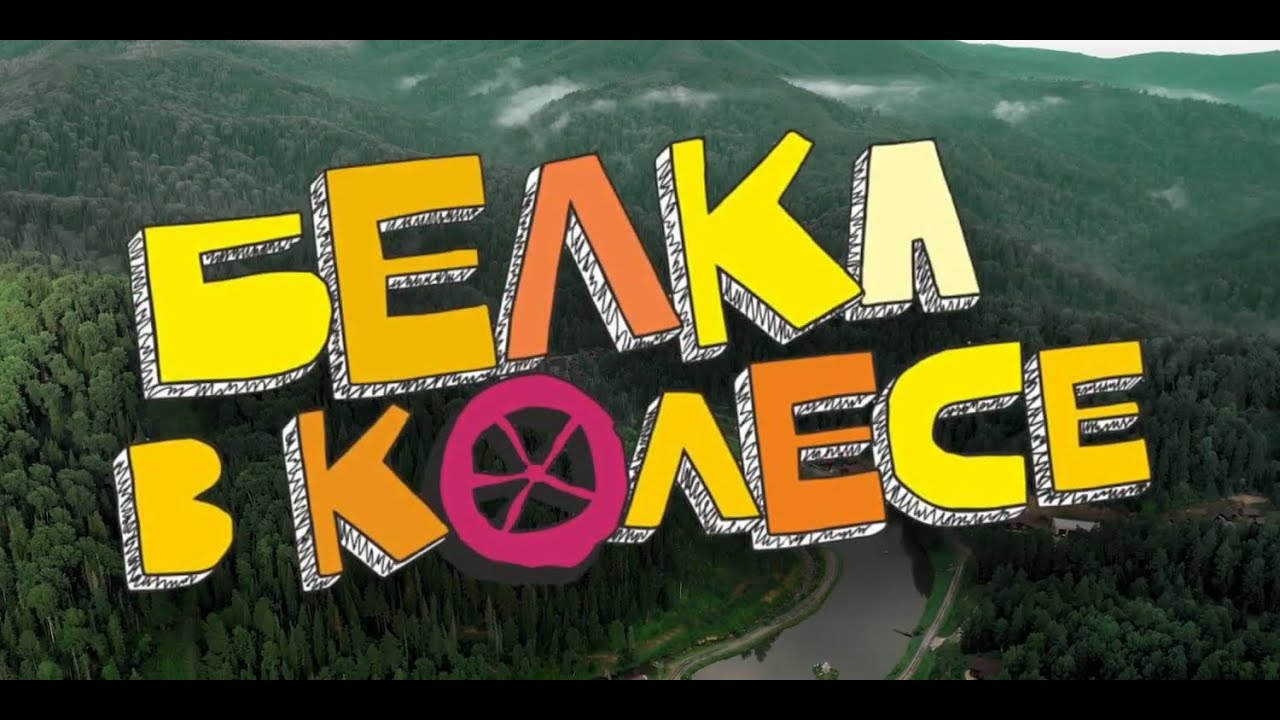 Белка в колесе 2024