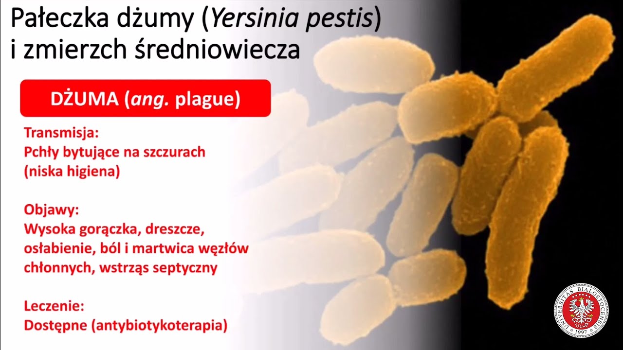 Spotkania z Nauką Wydział Biologii UwB - Wielkie epidemie w dziejach ludzkości dr Marek Bartoszewicz