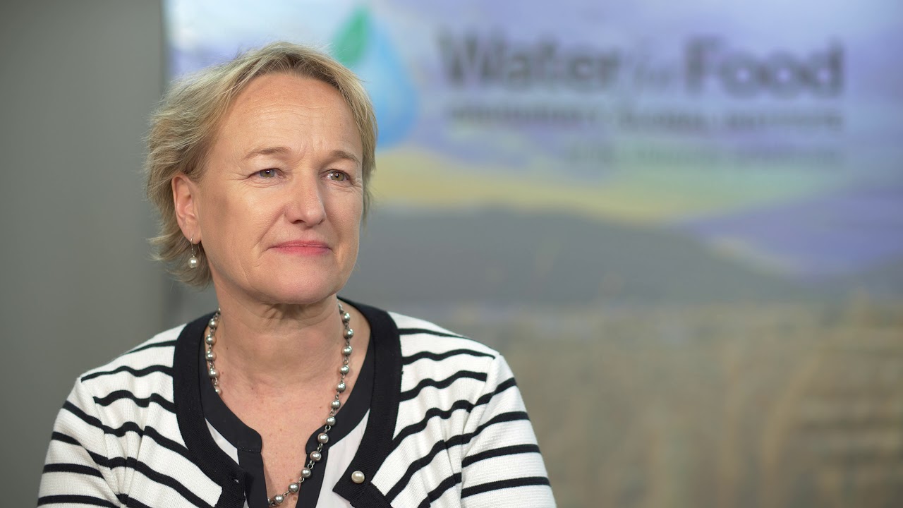 Working with the Daugherty Water for Food Global Institute