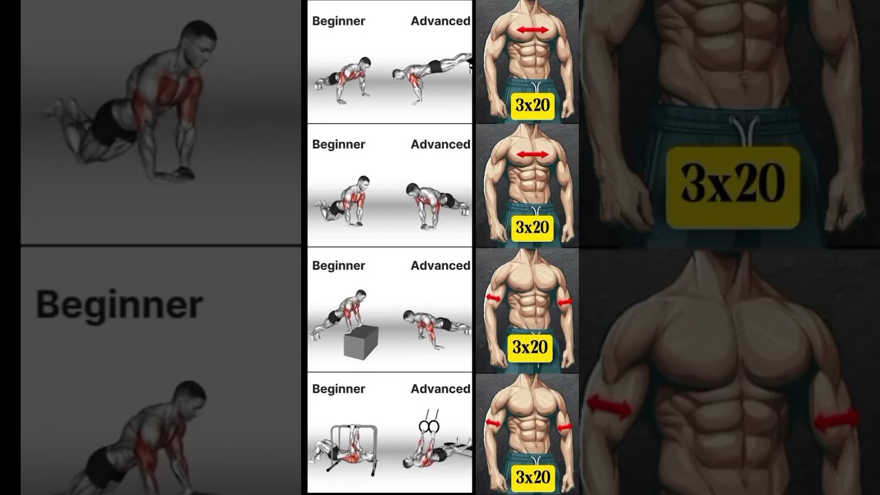 Anf&auml;nger vs. Fortgeschrittene Liegest&uuml;tze 💪 | Brust & Arm Training Zuhause