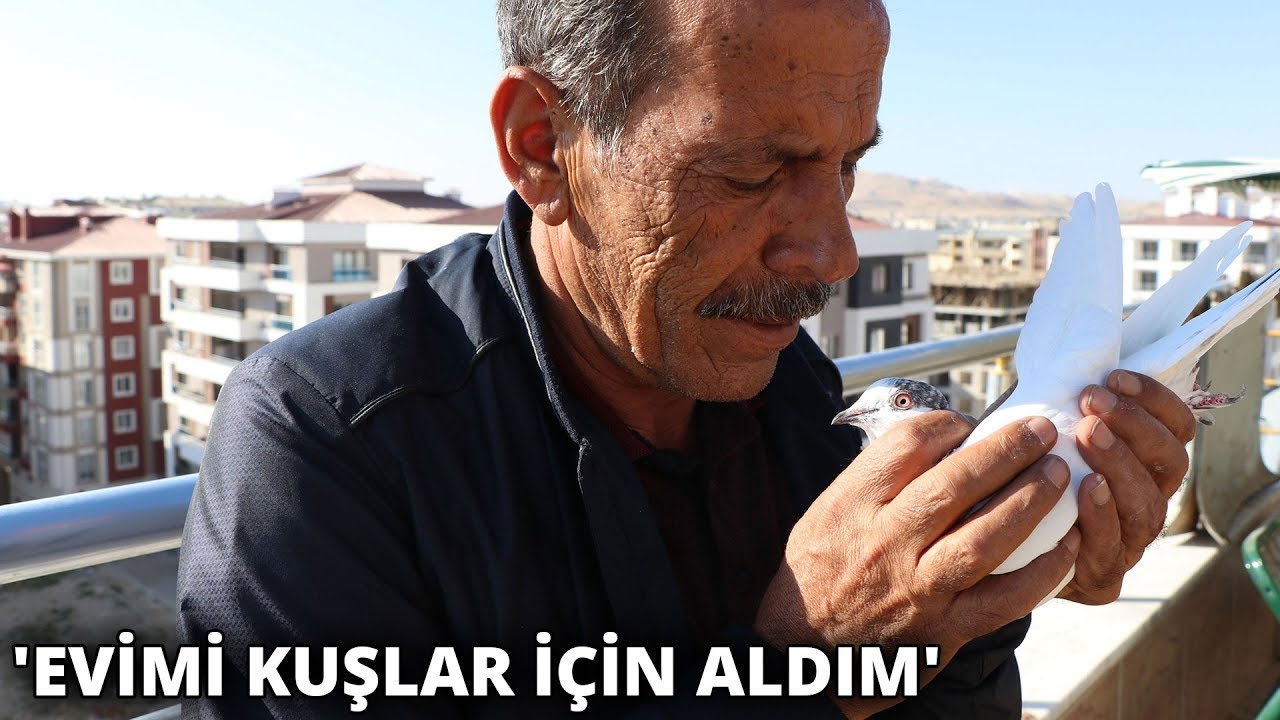40 güvercine evinde bakıyor... 'Kuşlarımı evlatlarım kadar seviyorum'