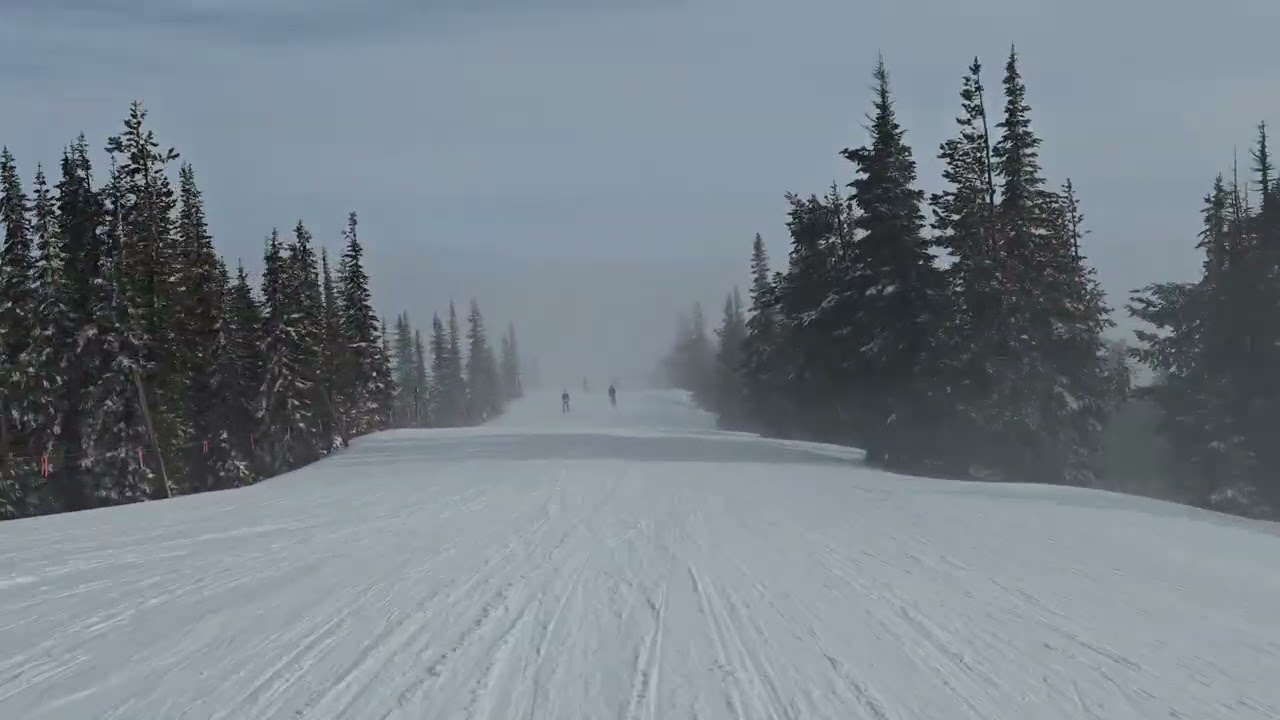 Schweitzer ID