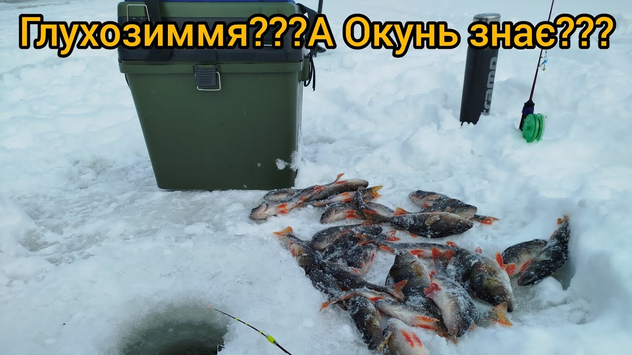 Кльов як на чорних каменях🔥🔥🔥Найшов🐟🐟🐟