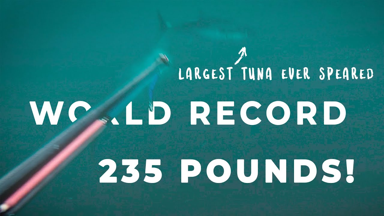 Spearfishing WORLD RECORD | 235 POUND Southern Blue Fin Tuna