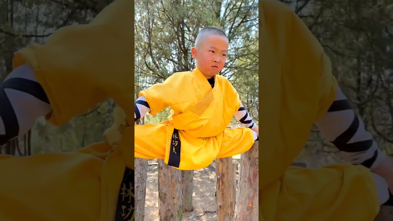 Shaolin monk Training #kungfu #shaolinmonks #martialarts #wushu #shaolinkungfu #shaolintemple
