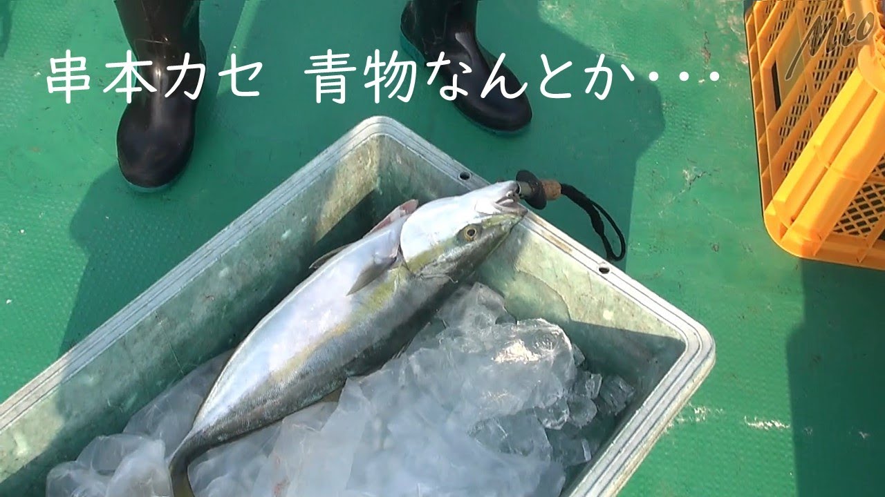 串本カセ釣り、青物なんとか 南紀丸